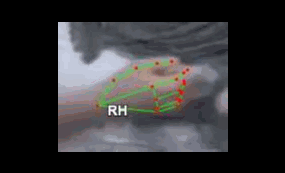 c6597e8d1a96.gif