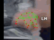 fabc5ef81bfb.gif