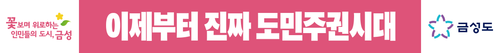 금성도청 간판 19x2.png