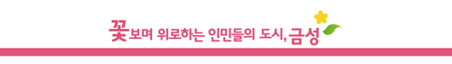 금성도청 외벽 현판 28x4.png
