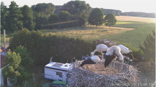 MWSnap154.jpg