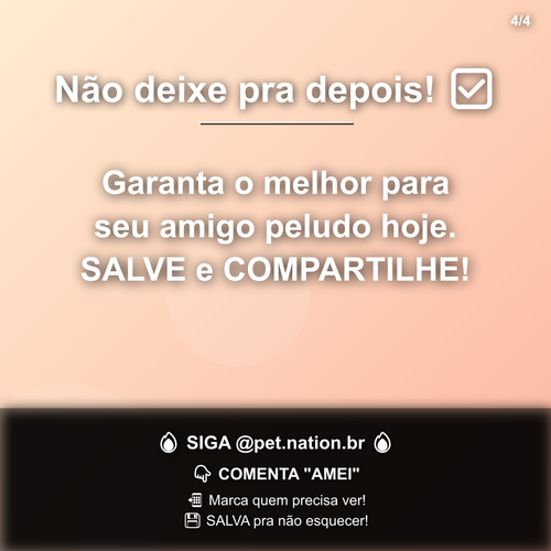 carousel 1782496814000 slide4.png