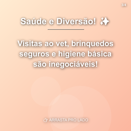 carousel 1782496813792 slide3.png