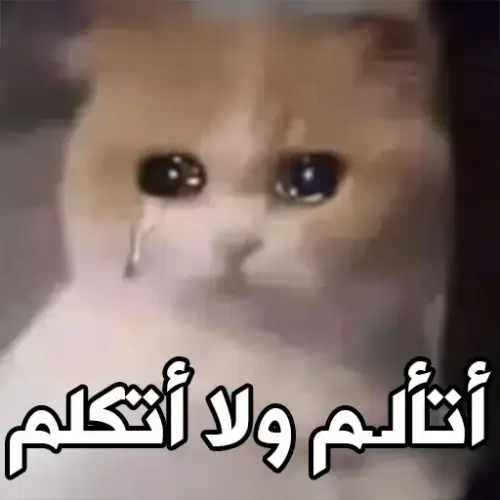 file.webp
