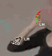 07f5e0dff81b.gif