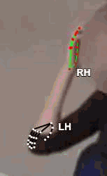 2ace8e7aa228.gif