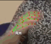 dd1957d5f535.gif