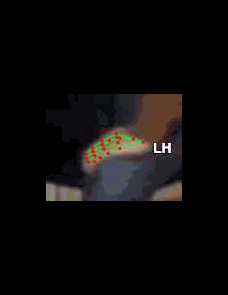 efbc1e052b0b.gif
