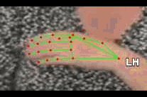 6becf894225e.gif