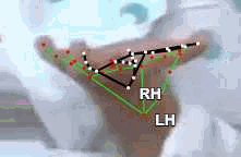 23054d547a44.gif