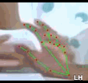 443358cefc95.gif