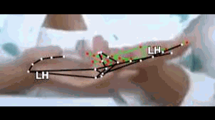 d31fb3ef518a.gif