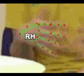 19ea3a8d31a2.gif