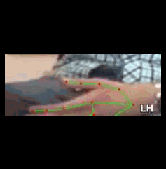 b5950f05fafa.gif
