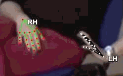 fb36822357ca.gif