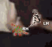 3770940d2617.gif