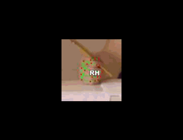 9bea4df5ae56.gif