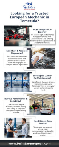 Looking for a Trusted European Mechanic in Temecula.jpg
