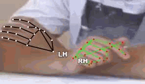47309fe881fe.gif