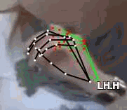 358b14805fdd.gif