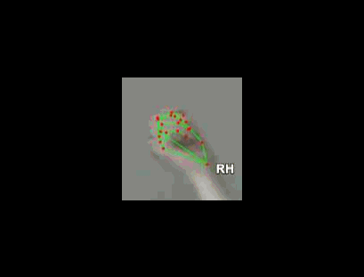 bd59b5e85534.gif