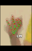 b30abba67b2d.gif
