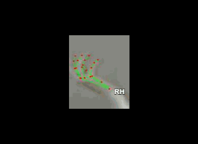 a9d8ac0ee4d7.gif