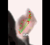 faa02f043fc2.gif