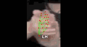 1a4dfb010697.gif
