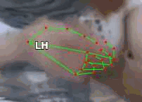 22a41461252e.gif