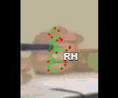fc13d9ea31ab.gif