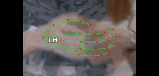 b3f9072b1f5f.gif