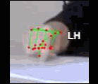 643ed3cb3abc.gif