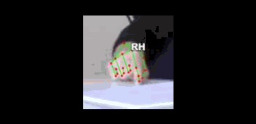 d7cb53f98190.gif