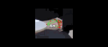 7edadd9a49bc.gif