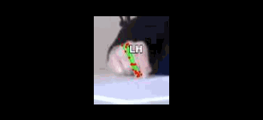 94b80ba57e3a.gif