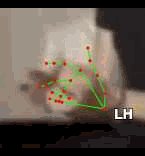 38410b60f91e.gif