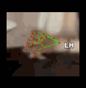 37eb209c16ff.gif