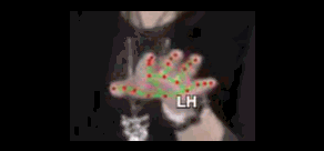 7fb40748f7d0.gif