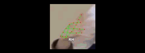 d3c681e7b1dd.gif
