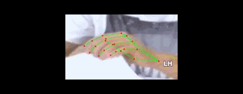 c7da7f383339.gif