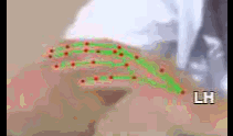 576284a678b9.gif