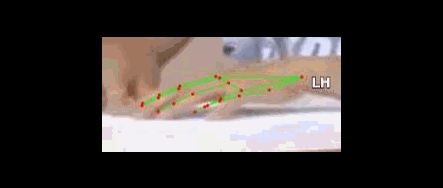 a63dc714ba6f.gif