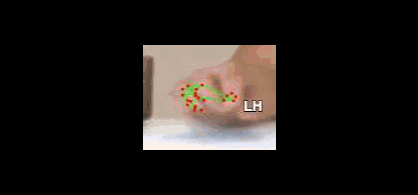 9adc85d17a3e.gif
