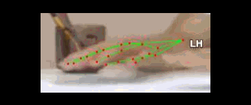9a022cbf3f4c.gif