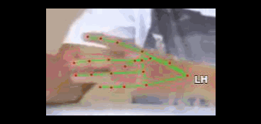 9119ed8ed67a.gif