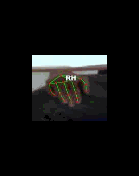 0a1232389488.gif