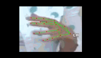 a4304d70b973.gif