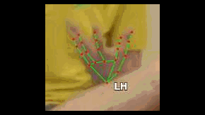 0d4f50233a31.gif