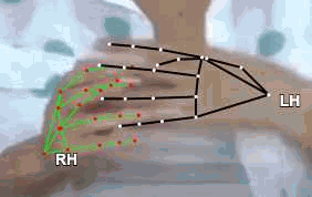 e0d183d1514b.gif
